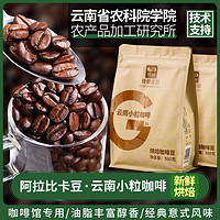 桂都农科院云南小粒咖啡豆阿拉比卡意式中度烘焙浓缩咖啡现磨纯咖啡豆 阿比纯咖啡豆500g*1袋