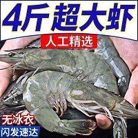 XYXT 虾有虾途 盐冻大虾 17-19厘米 4斤