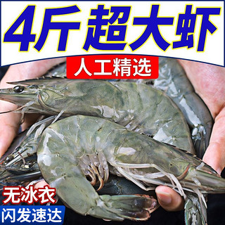 百亿补贴：XYXT 虾有虾途 盐冻大虾 17-19厘米 4斤