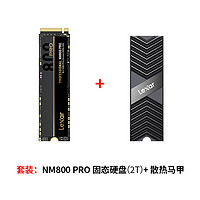 雷克沙NM800PRO SSD固态硬盘2T1T512G PCIe4.0四通道 M.2 NVME 协议硬盘 固态笔记本 接口硬盘 2TB 高速7500MB/s+马甲版【强效散热】 电竞游戏 以速制胜