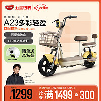 电动车新国标电动自行车48V小型可提充电池电瓶车 A23 源彩蜂蜜黄
