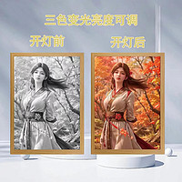 完美世界灯光画定制荒天帝石昊云曦创意生日礼物装饰灯画相框摆台