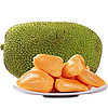 鲜福林越南红肉菠萝蜜一整个应当季树上熟新鲜水果整箱红心整颗菠萝蜜 精选10-12斤整个装