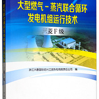 大型燃气 蒸汽联合循环发电机组运行技术.三菱F级