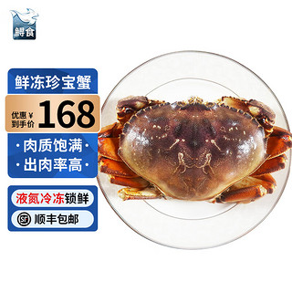 鲟食 活冻珍宝蟹 生鲜大螃蟹肉蟹 超大蟹类生鲜 海鲜水产 900g -1000g/只