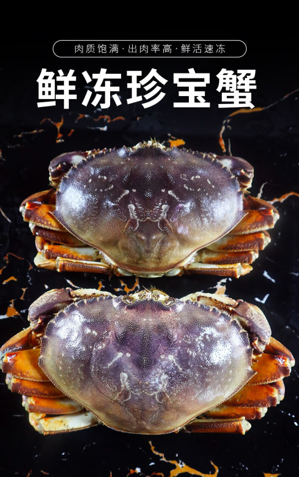 鲟食 活冻珍宝蟹 生鲜大螃蟹肉蟹 超大蟹类生鲜 海鲜水产 900g