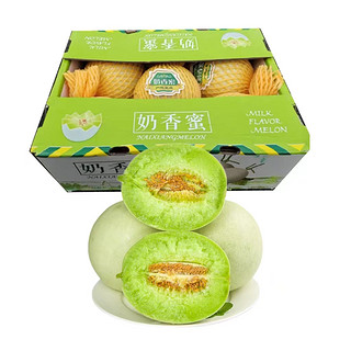 山东玉菇甜瓜 4.5斤 高品质高甜度