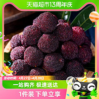 88VIP：水果之乡 云南当地现摘现发特大新鲜早熟杨梅2斤孕妇可吃应季鲜水果非仙居