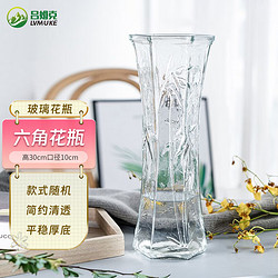 呂姆克 花瓶富貴竹插花瓶玻璃客廳宿舍花瓶擺件大號透明隨機高30cm5432