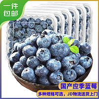 京丰味 蓝莓 新鲜时令国产蓝莓水果 125g/盒 精选大果 果径约15-18mm 6盒