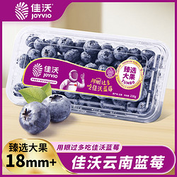 Joy Tree 歡樂果園 云南藍莓甄選大果18mm+當季新鮮藍莓230g量販裝2盒起