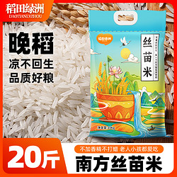 稻田绿洲丝苗米5斤长粒香米新米象牙米猫牙大米