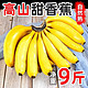  高山甜香蕉新鲜9斤水果当季现摘芭蕉小米蕉大香焦批发整箱自然熟　
