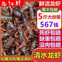 鲜活小龙虾567钱5斤江苏盱眙非青虾红虾淡水虾清水虾活虾旗舰店