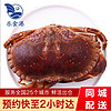 【活鲜】乐食港 鲜活面包蟹 英国爱尔兰活黄金蟹大螃蟹活蟹 700-800g/只