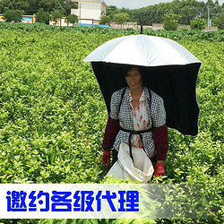 可背式遮陽傘采茶傘防曬傘太陽傘釣魚傘垂釣傘擺攤雨傘摘茶葉神器