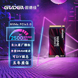 GUDGA 固德佳 M.2 NVMe 固态硬盘 256GB PCle3.0