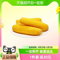 采甜農東北黃糯玉米燉湯蒸煮食用10只2kg