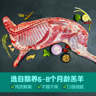 宁夏滩羊肉 生鲜分割半只羊10斤/礼盒装
