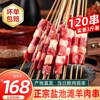 禧宁堡宁夏盐池滩羊肉现杀手工牛羊肉串新鲜羔羊腿肉烤肉串户外烧烤食材 羊肉串120串1500g