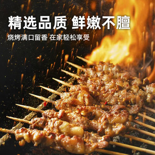 禧宁堡宁夏盐池滩羊肉现杀手工牛羊肉串新鲜羔羊腿肉烤肉串户外烧烤食材 羊肉串120串1500g