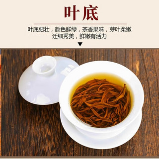 寅伯茶坊英德特产红茶特级金毛毫24明前新春茶英红九号红茶茶叶礼盒装 特级金毛毫品鉴1泡*6克