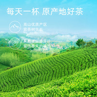 春茶文新信阳毛尖绿茶2024新茶茶叶明前特级嫩芽叶密封罐20g