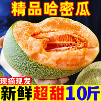 黄六爷 正宗海南哈密瓜3-4斤新鲜水果疆西州蜜瓜25号老汉瓜一整箱网纹甜瓜