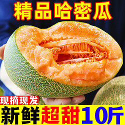 黄六爷 正宗海南哈密瓜3-4斤新鲜水果疆西州蜜瓜25号老汉瓜一整箱网纹甜瓜