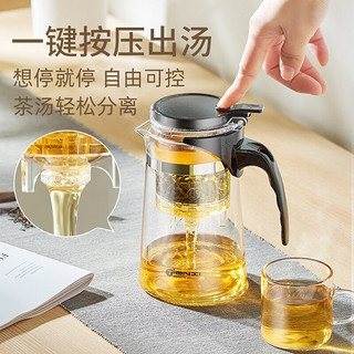 TiaNXI 天喜 玻璃茶壶泡茶壶飘逸杯茶具套装大容量茶水分离水杯泡茶杯过滤茶壶 升级款1000ml