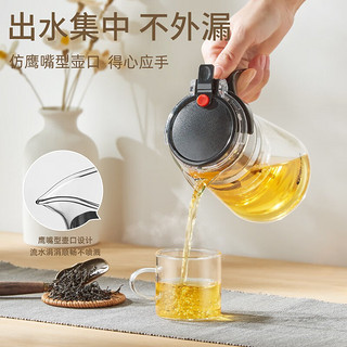 TiaNXI 天喜 玻璃茶壶泡茶壶飘逸杯茶具套装大容量茶水分离水杯泡茶杯过滤茶壶 升级款1000ml