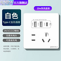 fdd 国际电工 双USB插座面板20W快充墙壁无需充电头Type-c家用五孔插座快充面板 升级20W快充款