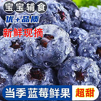 龙觇 精选云南蓝莓王 125g× 6盒（单果15-18mm）