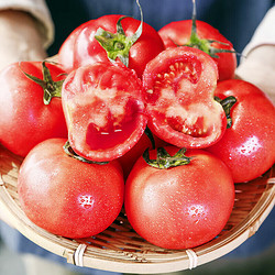 京百味 山东普罗旺斯西红柿2kg 网红沙瓢口感番茄 源头直发