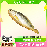 88VIP：MRSCRAB 蟹太太 新鲜冷冻大黄花鱼生鲜水产鲜活冰鲜黄鱼海鱼350g