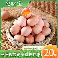 宛味宝 初生蛋40枚*40g新鲜鸡蛋农家散养柴鸡蛋10枚20枚