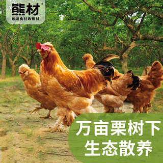 熊材 宫廷五趾黄鸡(净膛)大公鸡1.1kg油鸡土鸡 整鸡 走地鸡 鸡肉 生鲜