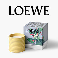 LOEWE 罗意威 家居香薰蜡烛 #金银花 170g+赠香水体验装1.5ml