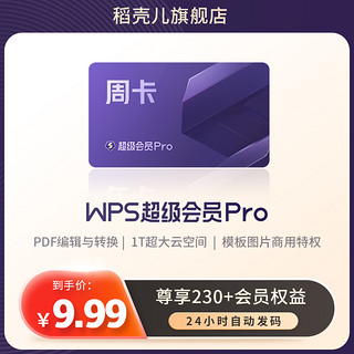 WPS超级会员Pro套餐周卡7天pdf转word排版官方正版PPT模板海报