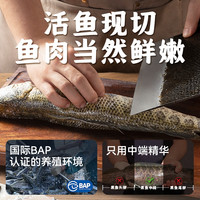 叮叮懒人菜酸菜鱼450g*2快手菜半成品鲜活黑鱼片水煮鱼预制菜金汤