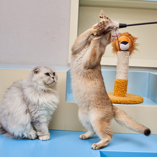 贵为GiGwi猫玩具逗猫棒猫咪玩具羽毛耐咬养猫幼猫宠物玩具魔力布条逗猫棒幼猫解压解闷逗猫