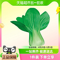 88VIP：寿禾 正宗上海青种子蔬菜种籽10g孑菜种菜籽四季青菜紫油菜青梗菜