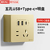 fdd 国际电工 明装插座五孔插座带USB+type-c手机充电86型明线家用电源墙壁开关 五孔Type-C+明装底盒