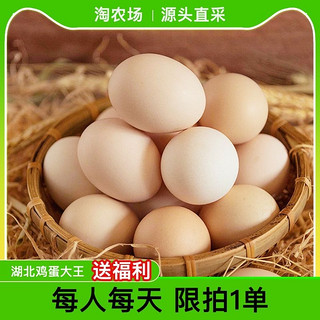 土家享 【9.9抢20枚】湖北省鸡蛋大王 农家散养新鲜土鸡蛋