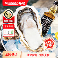 XIANHAIDAO 鲜海道 乳山生蚝鲜活特大号带箱5斤装大生蚝新鲜牡蛎海鲜水产