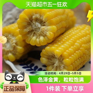 88VIP：耘和 新鲜蔬菜东北松原黄糯玉米2kg（7-9个）真空黏玉米棒粘玉米