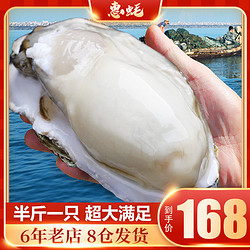 惠蚝 正宗乳山生蚝鲜活带箱10斤5XL山东即食烧烤牡蛎肉海蛎子新鲜水产