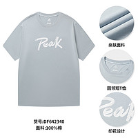 PEAK 匹克 速干t恤男夏季新品跑步运动冰丝短袖吸湿透气冰感短t 雅蓝- L/175