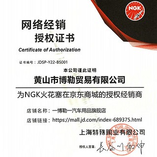 NGK 铱铂金火花塞（四支装） 现代ix35 2.0(12至22款)