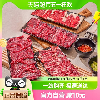 88VIP：祁连天宝 潮汕牛肉火锅食材套餐新鲜现切嫩牛肉雪花吊龙半成品900g